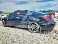 2010 Honda Accord фото
