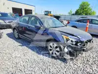 2010 Honda Accord фото