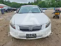 2010 Honda Accord фото