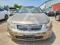 2010 Honda Accord фото