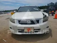 2010 Honda Accord photo