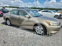 2010 Honda Accord фото