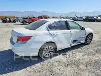 2010 Honda Accord фото