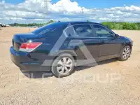 2010 Honda Accord фото