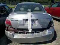 2010 Honda Accord photo