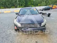2010 Honda Accord фото