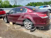2010 Honda Accord photo