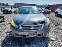 2010 Honda Accord фото