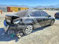 2010 Honda Accord фото