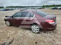 2010 Honda Accord фото