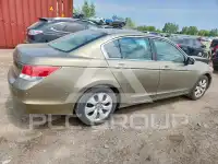 2010 Honda Accord фото