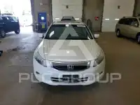 2010 Honda Accord фото