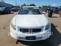 2010 Honda Accord photo