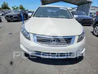 2010 Honda Accord фото