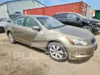 2010 Honda Accord фото