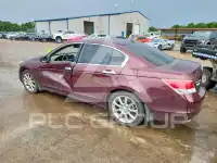 2010 Honda Accord photo