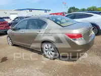 2010 Honda Accord фото