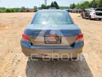 2010 Honda Accord фото