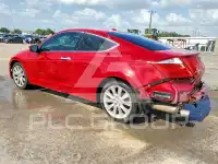 2010 Honda Accord photo