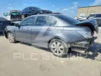 2010 Honda Accord photo