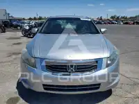 2010 Honda Accord фото