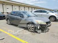 2010 Honda Accord фото