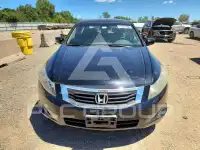 2010 Honda Accord photo