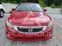 2010 Honda Accord фото