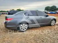 2010 Honda Accord фото