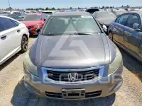 2010 Honda Accord фото