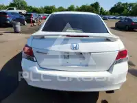 2010 Honda Accord photo