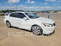 2010 Honda Accord photo