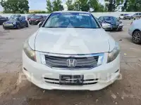 2010 Honda Accord фото