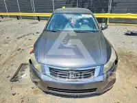 2010 Honda Accord фото