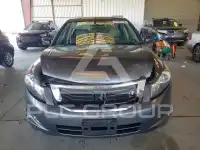 2010 Honda Accord фото