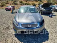 2010 Honda Accord фото