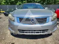 2010 Honda Accord photo