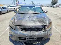 2010 Honda Accord photo