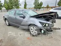 2010 Honda Accord фото