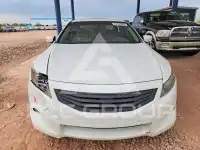 2010 Honda Accord фото