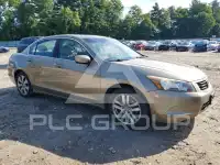 2010 Honda Accord фото