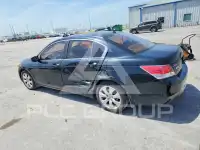 2010 Honda Accord фото