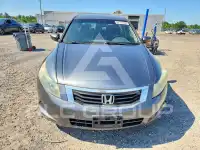 2010 Honda Accord фото