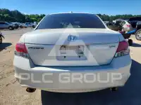 2010 Honda Accord фото