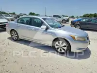2010 Honda Accord фото