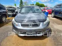 2010 Honda Accord фото