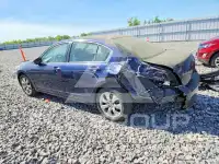 2010 Honda Accord фото