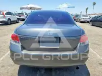 2010 Honda Accord photo