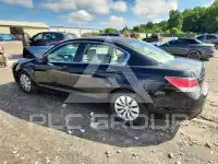2010 Honda Accord photo