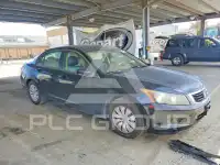 2010 Honda Accord photo
